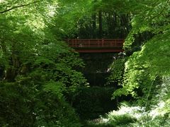 -三千院