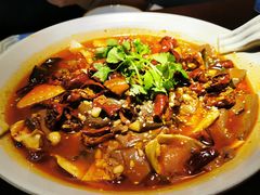 -映水芙蓉(上海万象城店)