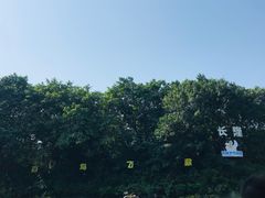 -广州长隆飞鸟乐园