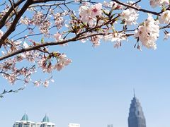 -西北湖绿化广场