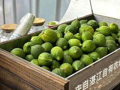 -introlemons(北京西单更新场店)