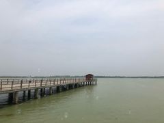 -江苏省泗阳县成子湖旅游度假区综合服务中心-停车场