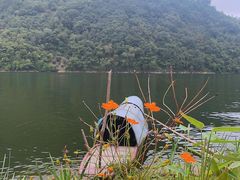 -新安江山水画廊风景区