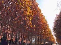 -山东科技大学（青岛校区）-图书馆