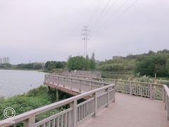 -广东花都湖国家湿地公园
