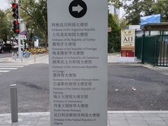 -三里屯东五街银杏大道