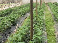 -西湖风景区-江洋畈生态公园