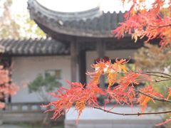 -雨花胜境