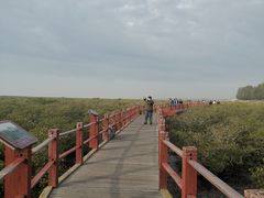 -北海金海湾红树林生态旅游区