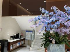 -TSK齿科德申会口腔门诊·联洋诊所
