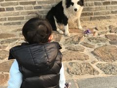 -清风小镇闯关东影视基地