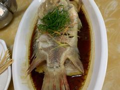 清蒸红宝石鱼-小海豚•老字号海鲜餐厅(天涯店)