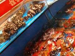 水产区-谊荣海鲜大牌档(石湖店)