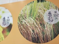 -老娘舅餐厅(黄龙体育中心店)