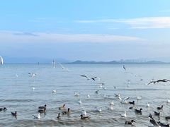-深圳湾公园(南山区)