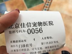 -北京佳信宠物医院