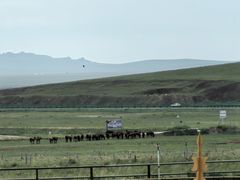 -呼伦贝尔大草原巴尔虎蒙古部落民俗旅游度假景区