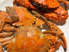 -初色海鲜自助(万丰路店)