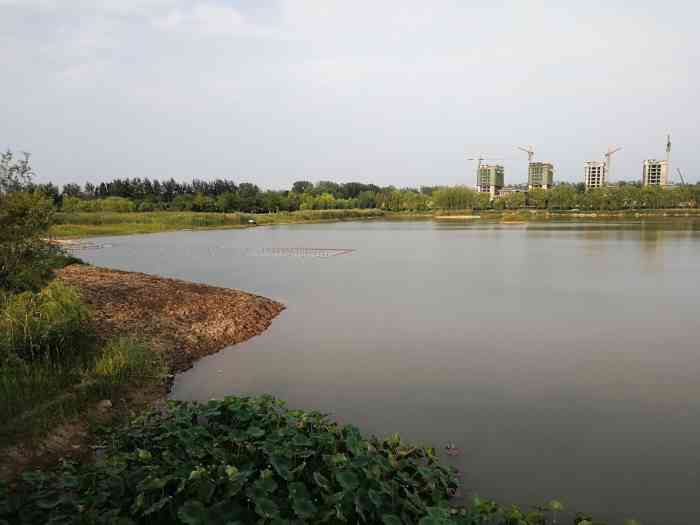 周自齐公园-"中午小朋友睡好觉,因为对一个字很痴迷"玩.