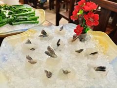 -無鱼鳞比