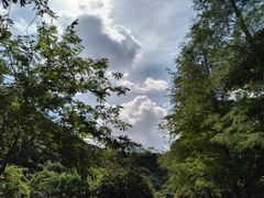 -马峦山郊野公园