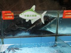 -饭怕鱼(阳光100店)