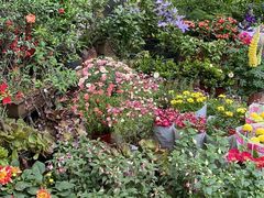 -金陵花卉交易市场