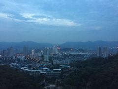 -金鸡山公园
