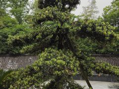 -杭州龙禧福朋喜来登酒店