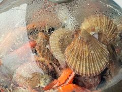 -大锅强·蒸海鲜青岛菜(金沙滩店)