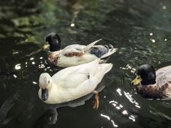 -上海大自然野生昆虫馆(东方明珠·爬宠昆虫探索中心)