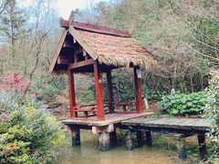 -杭州半山国家森林公园