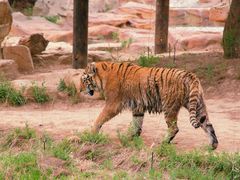 -北京野生动物园