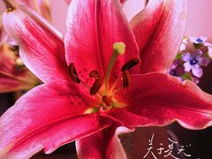 -点都德(长泰广场店)