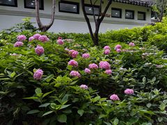 -汇龙潭