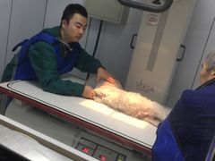 -爱侣宠医·鹦鹉专科·小型哺乳类·异宠专科(灵石路店)