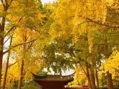 -郑和公园