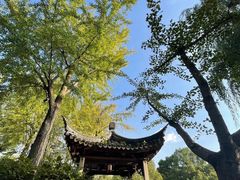 -南园(太仓市)