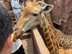 -长鹿旅游休博园