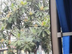 -东林海岸大酒店-餐饮部(黄海路店)