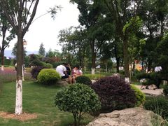 -铁山坪森林公园