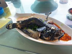 -七鲜渔港美食餐厅(巽寮湾海景店)