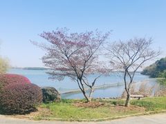-东湖磨山景区