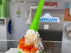 -Salud撒露欧洲冻酸奶(蓝色港湾店)