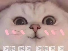 -艾贝尔宠物诊疗