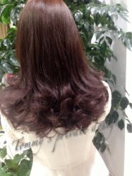 @Tommy斌-CARR SALON
