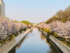 -海棠花溪(元大都城垣遗址公园)