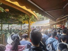 -西双版纳原始森林公园