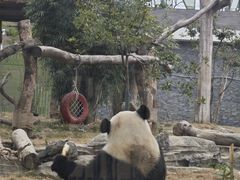 -武汉动物园