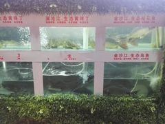 -秋语木桶鱼.酸菜鱼(开发区火车站店)
